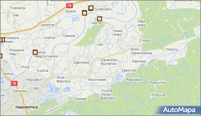 mapa Zabierzów Bocheński, Zabierzów Bocheński na mapie Targeo