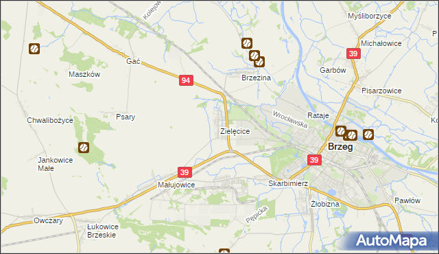 mapa Zielęcice gmina Skarbimierz, Zielęcice gmina Skarbimierz na mapie Targeo