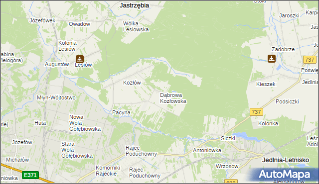 mapa Dąbrowa Kozłowska, Dąbrowa Kozłowska na mapie Targeo