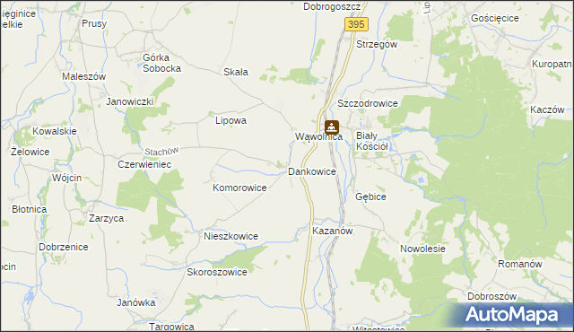 mapa Dankowice gmina Strzelin, Dankowice gmina Strzelin na mapie Targeo