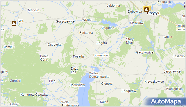 mapa Domaniów gmina Przytyk, Domaniów gmina Przytyk na mapie Targeo