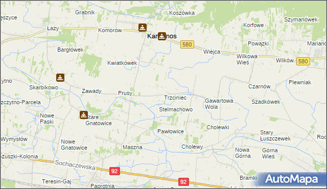 mapa Trzciniec gmina Leszno, Trzciniec gmina Leszno na mapie Targeo