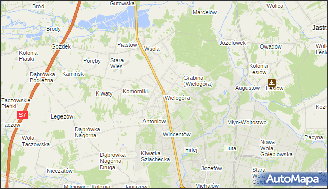 mapa Wielogóra gmina Jedlińsk, Wielogóra gmina Jedlińsk na mapie Targeo