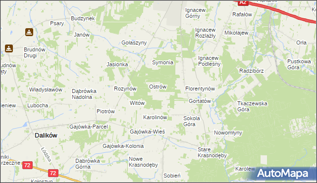 mapa Włodzimierzów gmina Dalików, Włodzimierzów gmina Dalików na mapie Targeo