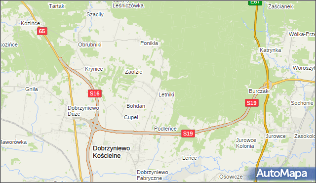 mapa Letniki gmina Dobrzyniewo Duże, Letniki gmina Dobrzyniewo Duże na mapie Targeo
