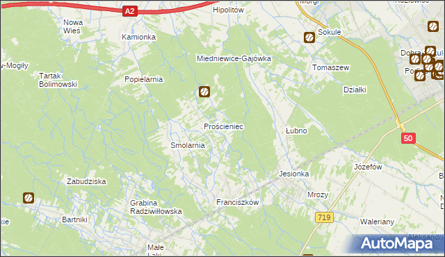 mapa Antoniew gmina Wiskitki, Antoniew gmina Wiskitki na mapie Targeo