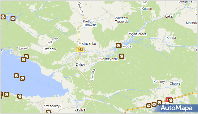 mapa Biestrzynnik, Biestrzynnik na mapie Targeo