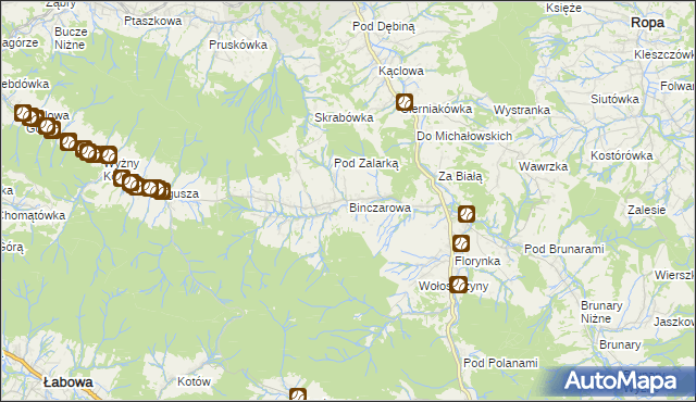 mapa Binczarowa, Binczarowa na mapie Targeo