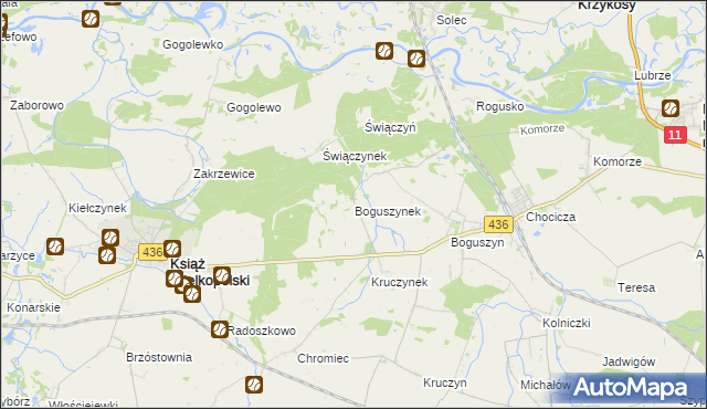 mapa Boguszynek, Boguszynek na mapie Targeo