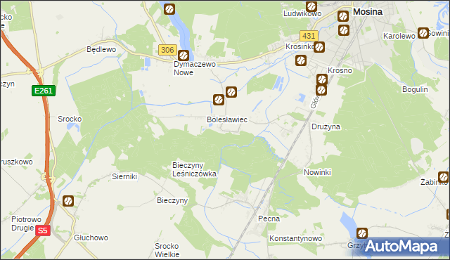 mapa Borkowice gmina Mosina, Borkowice gmina Mosina na mapie Targeo