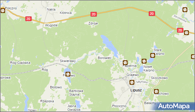 mapa Borowiec gmina Lipusz, Borowiec gmina Lipusz na mapie Targeo