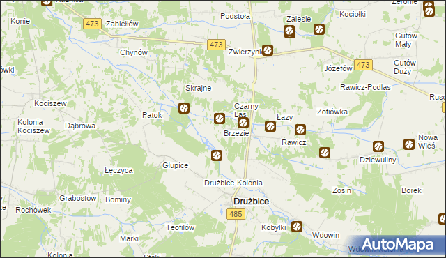 mapa Brzezie gmina Drużbice, Brzezie gmina Drużbice na mapie Targeo