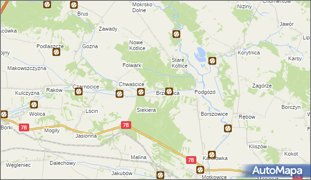 mapa Brzeźnica gmina Jędrzejów, Brzeźnica gmina Jędrzejów na mapie Targeo