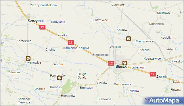 mapa Brzozowiec gmina Błaszki, Brzozowiec gmina Błaszki na mapie Targeo