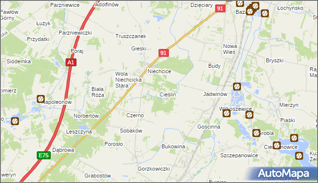 mapa Cieślin gmina Rozprza, Cieślin gmina Rozprza na mapie Targeo