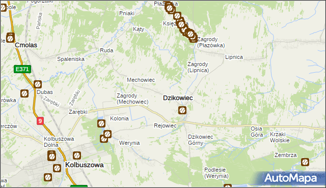 mapa Dzikowiec powiat kolbuszowski, Dzikowiec powiat kolbuszowski na mapie Targeo