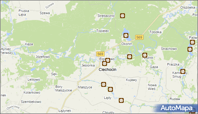 mapa Elgiszewo, Elgiszewo na mapie Targeo