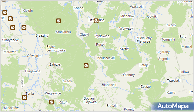 mapa Foluszczyki, Foluszczyki na mapie Targeo