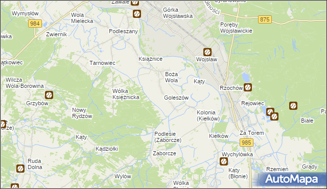 mapa Goleszów gmina Mielec, Goleszów gmina Mielec na mapie Targeo