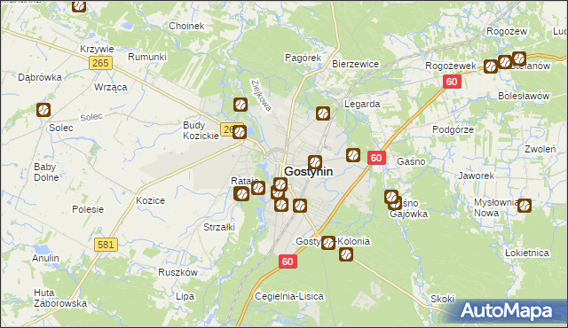 mapa Gostynin, Gostynin na mapie Targeo