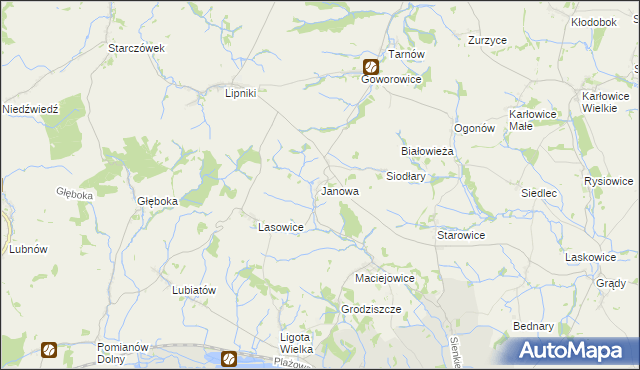 mapa Janowa gmina Otmuchów, Janowa gmina Otmuchów na mapie Targeo