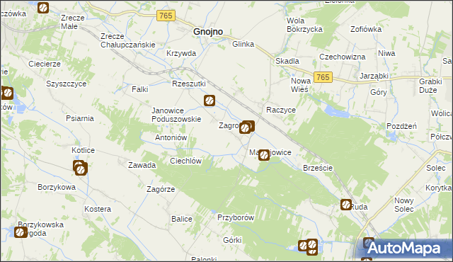 mapa Janowice Raczyckie, Janowice Raczyckie na mapie Targeo