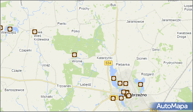mapa Katarzynki gmina Ryńsk, Katarzynki gmina Ryńsk na mapie Targeo