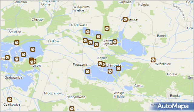 mapa Kopice gmina Milicz, Kopice gmina Milicz na mapie Targeo