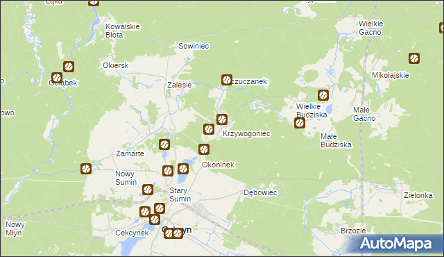 mapa Krzywogoniec, Krzywogoniec na mapie Targeo