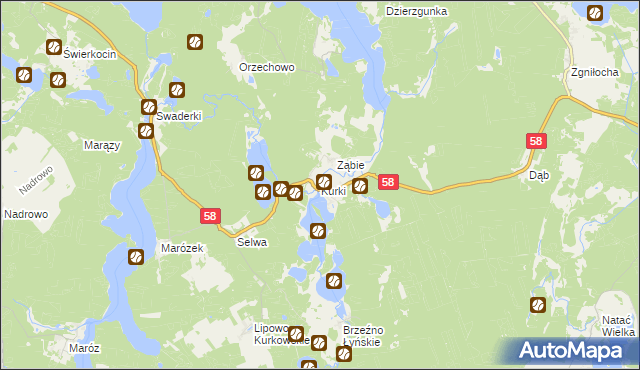mapa Kurki gmina Olsztynek, Kurki gmina Olsztynek na mapie Targeo
