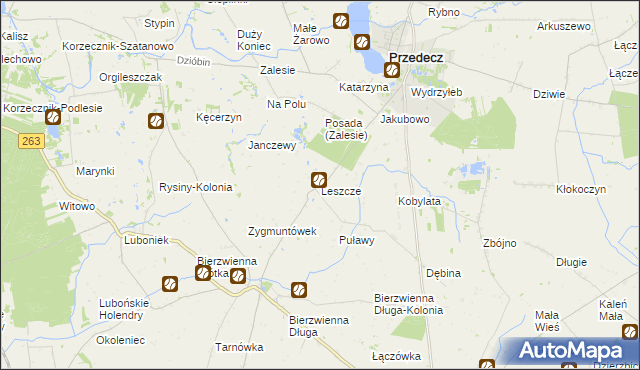mapa Leszcze gmina Kłodawa, Leszcze gmina Kłodawa na mapie Targeo