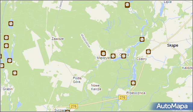 mapa Międzylesie gmina Skąpe, Międzylesie gmina Skąpe na mapie Targeo
