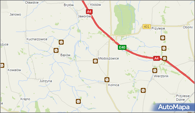 mapa Młodoszowice, Młodoszowice na mapie Targeo