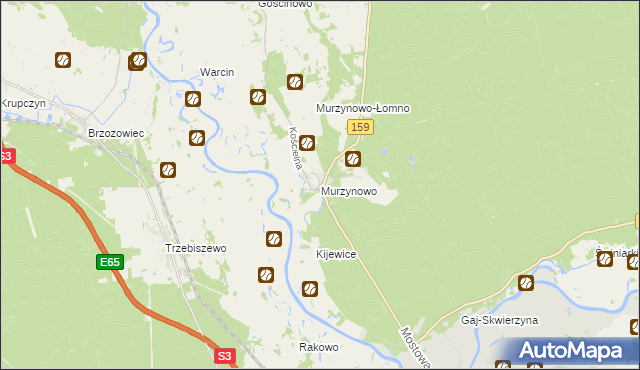 mapa Murzynowo gmina Skwierzyna, Murzynowo gmina Skwierzyna na mapie Targeo