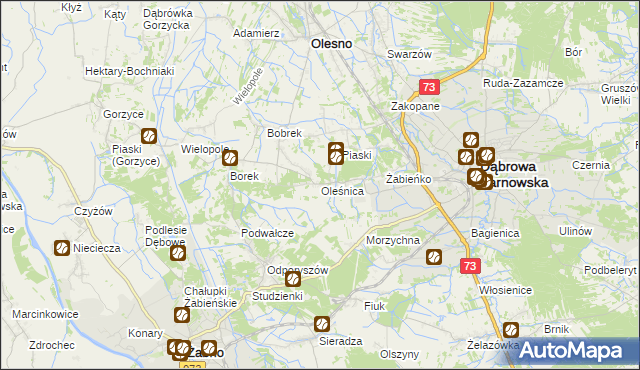mapa Oleśnica gmina Olesno, Oleśnica gmina Olesno na mapie Targeo