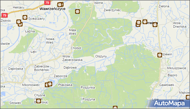 mapa Olszyny gmina Drwinia, Olszyny gmina Drwinia na mapie Targeo