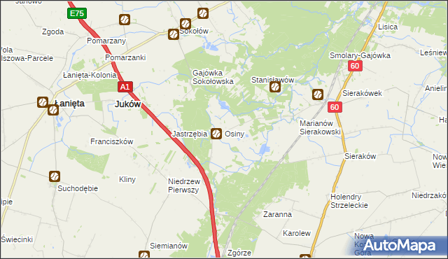 mapa Osiny gmina Gostynin, Osiny gmina Gostynin na mapie Targeo