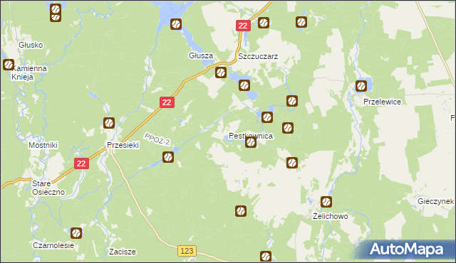 mapa Pestkownica, Pestkownica na mapie Targeo