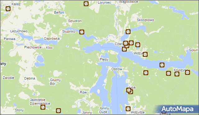 mapa Płęsy, Płęsy na mapie Targeo