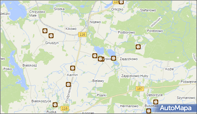 mapa Psarskie gmina Pniewy, Psarskie gmina Pniewy na mapie Targeo