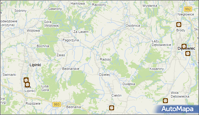 mapa Radość gmina Dębowiec, Radość gmina Dębowiec na mapie Targeo
