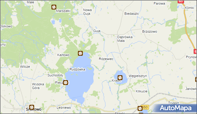 mapa Różewiec, Różewiec na mapie Targeo