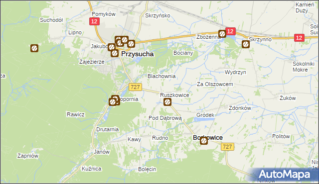 mapa Ruszkowice gmina Borkowice, Ruszkowice gmina Borkowice na mapie Targeo