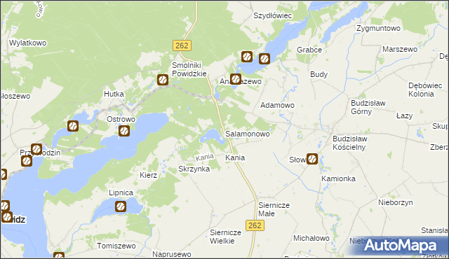 mapa Salamonowo, Salamonowo na mapie Targeo