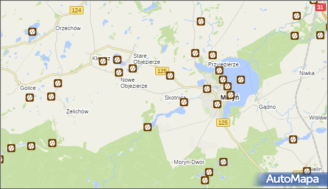 mapa Skotnica gmina Moryń, Skotnica gmina Moryń na mapie Targeo