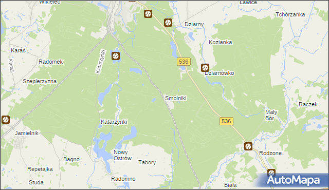 mapa Smolniki gmina Iława, Smolniki gmina Iława na mapie Targeo