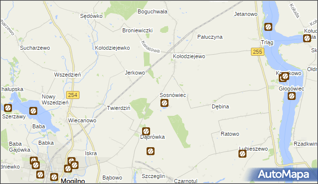 mapa Sosnowca, Sosnówiec na mapie Targeo