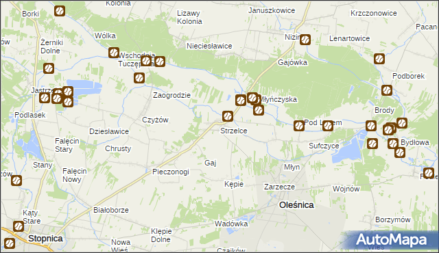 mapa Strzelce gmina Oleśnica, Strzelce gmina Oleśnica na mapie Targeo