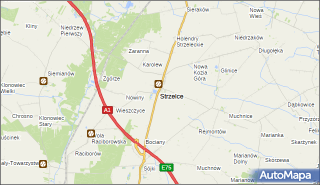 mapa Strzelce powiat kutnowski, Strzelce powiat kutnowski na mapie Targeo