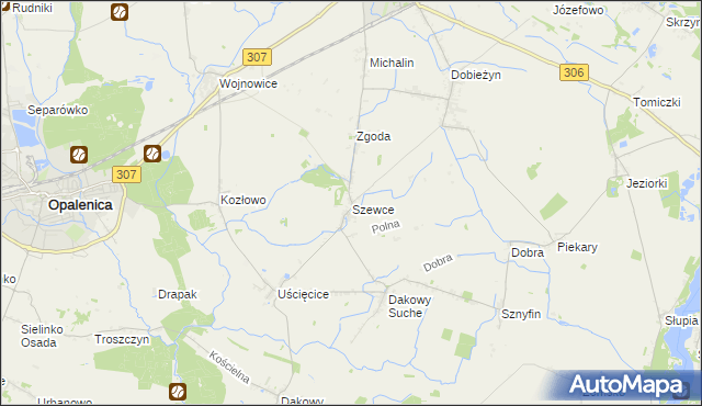 mapa Szewce gmina Buk, Szewce gmina Buk na mapie Targeo